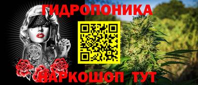 шишки Ликино-Дулёво