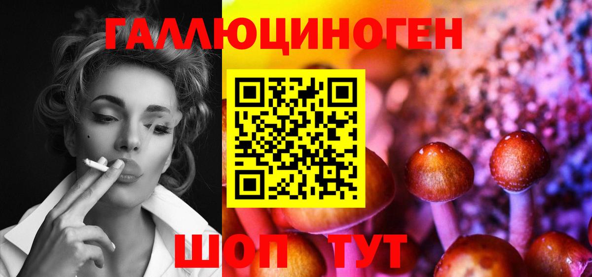 Галлюциногенные грибы Psilocybe Всеволожск